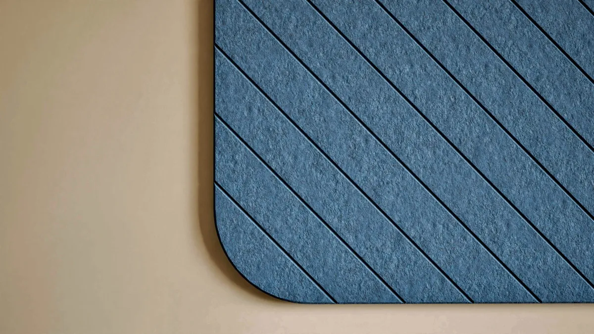 Chameleon Curve Acoustics 3