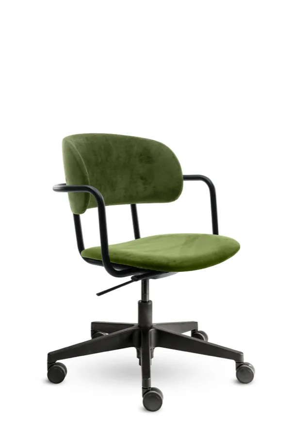 Homy, Velvet Olive
