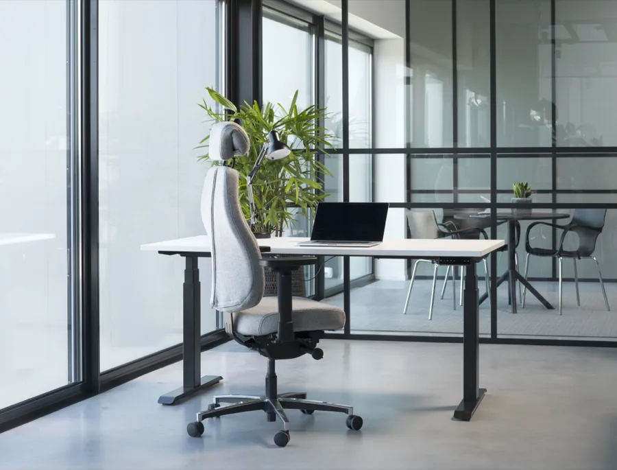 Therapod X HR in wolvilt Fenice 601 lichtgrijs 2