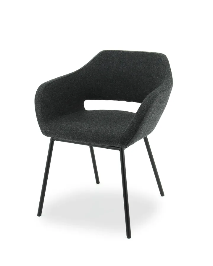 F70 wolvilt Fenice donkergrijs 603 - frame chroom 2