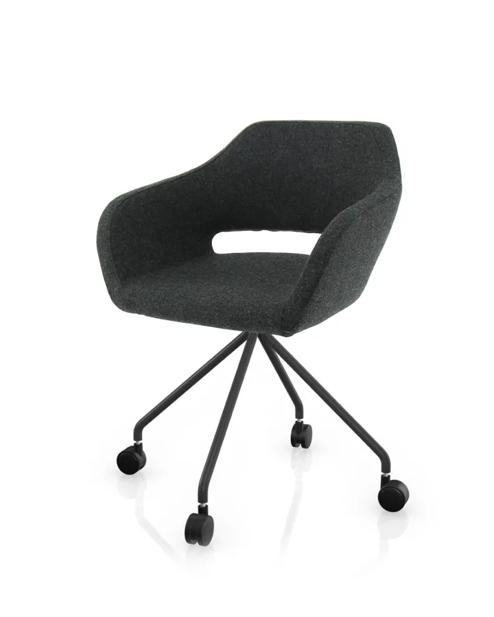 F70 wolvilt Fenice donkergrijs 603 - frame chroom 3