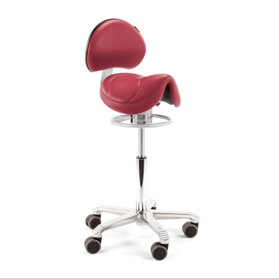 Amazone Balance met lendensteun 6