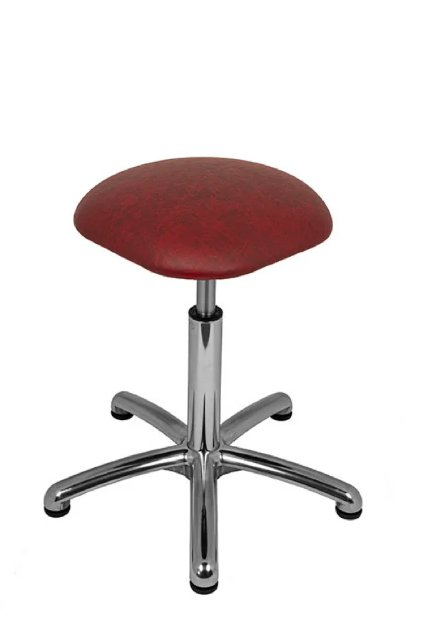 Balergo Plus (Chroom onderstel))