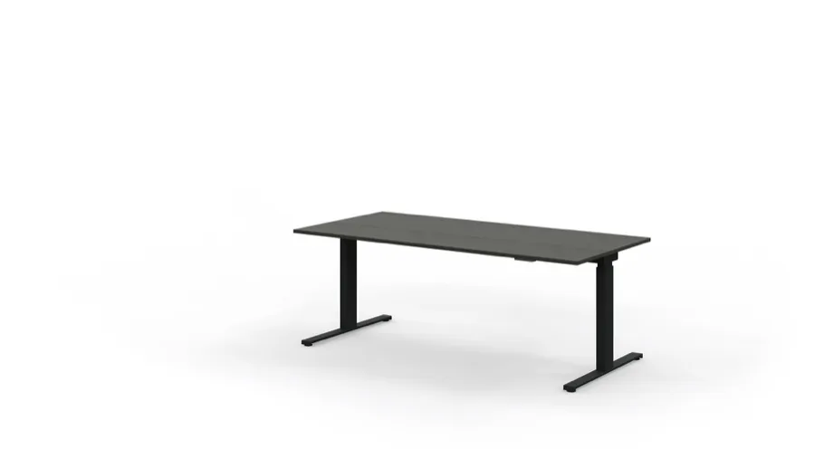 SPINE-2 10